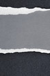 Ripped paper