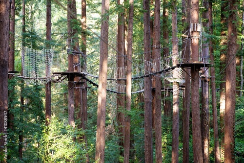 Photo: Canopy Ropes Course Canopy Ropes Course