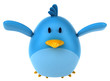 Blue bird