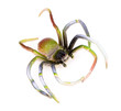 Colorful Plastic Toy Spiders on White Background