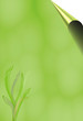 Natural green background with a bent corner.