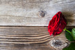 Red rose over wood
