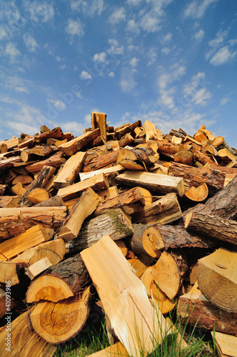 Photo: Firewood pile Firewood pile