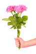 Bunch of pink roses