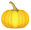 Fresh Pumpkin Vector