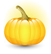 Glossy Pumpkin