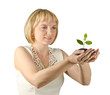 Woman planting citrus sapling Woman planting citrus sapling