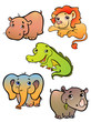 Five african animals on white