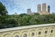 Central Park bow bridge Central Park bow bridge