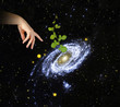 Plant at center of galaxy.Elements of this image furnished by NA Plant at center of galaxy.Elements of this image furnished by NA