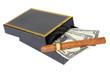 Cuban cigar and money