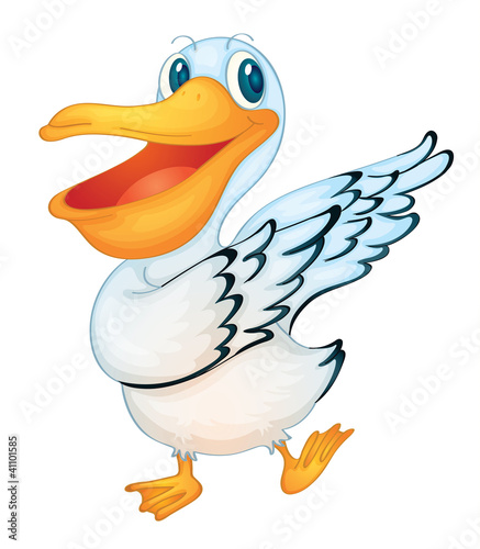 Vector: pelican pelican