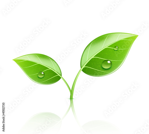 Vektor: Ecology concept Ecology concept