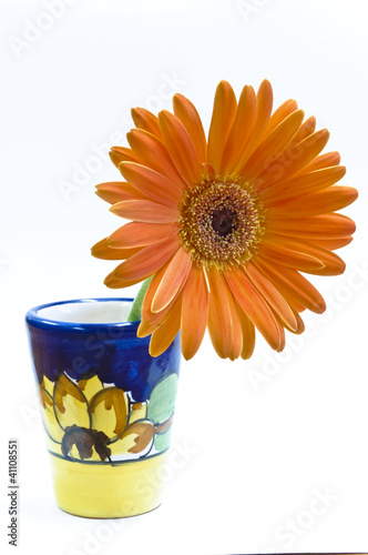 Photo: gerbera arancione nel vaso gerbera arancione nel vaso