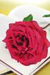 rose and book