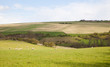 Yorkshire Wolds View
