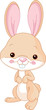 Fun zoo. Bunny