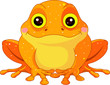 Fun zoo. Golden Toad