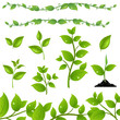 Set Leaves