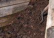 Compost pile