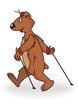 bear nordic walkers