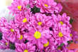 Flores rosas