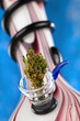 Photo: Getrocknete Blüte der Cannabis Sativa in einem Bong Getrocknete Blüte der Cannabis Sativa in einem Bong