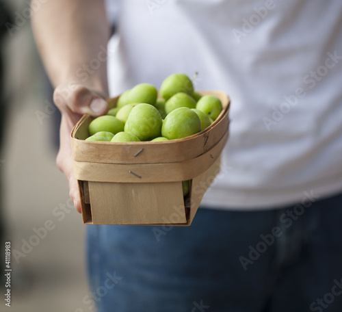Photo: Farmer holding green peaches in a basket Farmer holding green peaches in a basket