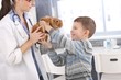Photo: Laughing boy getting back rabbit from vet Laughing boy getting back rabbit from vet