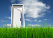 canvas print picture - Conceptual white door in grass over a blue sky