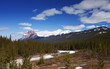 The Bow River
