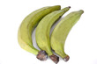 Kochbanane