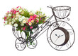 Flower on bicycle watch isolated Flower on bicycle watch isolated