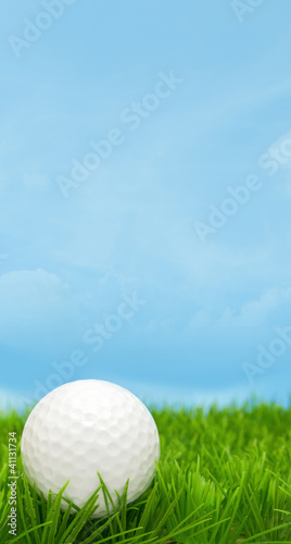 Photo: Golf Ball Golf Ball