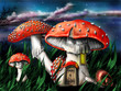 Magic mushrooms