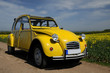 Ente fahren