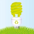 planting of ecological bulb
