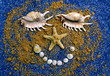 smiling face with seashells and conch on golden sand