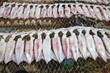 Drying Squid