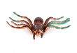 Photo: Colorful Plastic Toy Spiders on White Background Colorful Plastic Toy Spiders on White Background