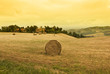 paesaggio toscano