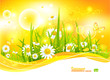 Sunny Bright Background
