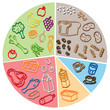 illustrated health diagram vector