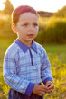 little boy in the meadow