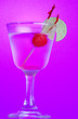 Tequila Sour Cocktail