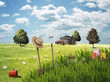 Spring Gardening