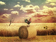 Grunge Country Landscape