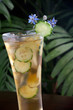 Ginger Cucumber Iced Tea