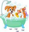 Dog and Cat  having a bath