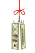 Fishing hook and money